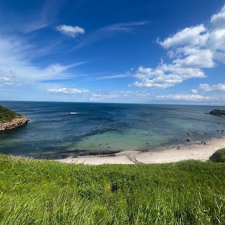 Berwick Holiday Park Haven Eksteriør bilde