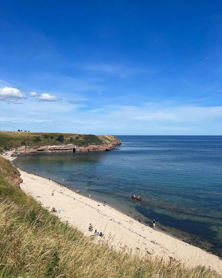 Berwick Holiday Park Haven Eksteriør bilde